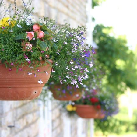 Crossways Hotell Wells Exteriör bild Flower pots